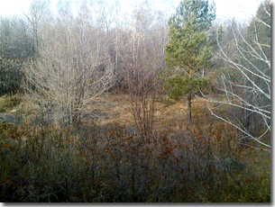 How cold? +2 C, maybe.